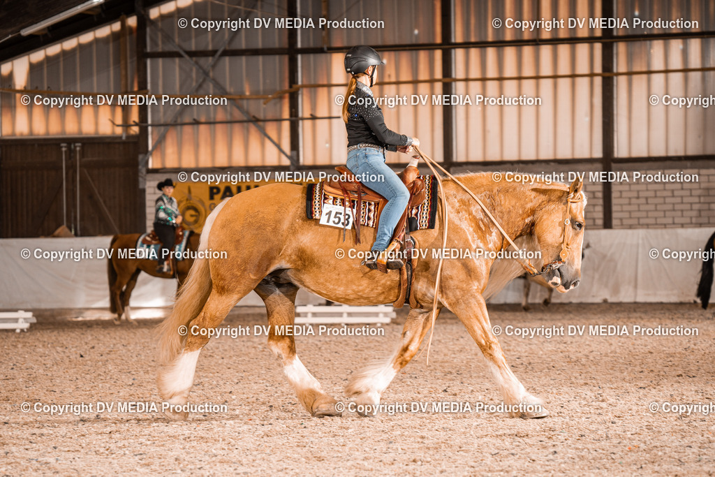 ZH100118 | dv-media-shop - Realisiert mit Pictrs.com