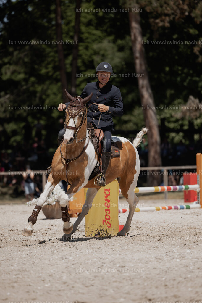 WE_SP_Stoib_344_PI2025_1891 | Pferd International München 2025