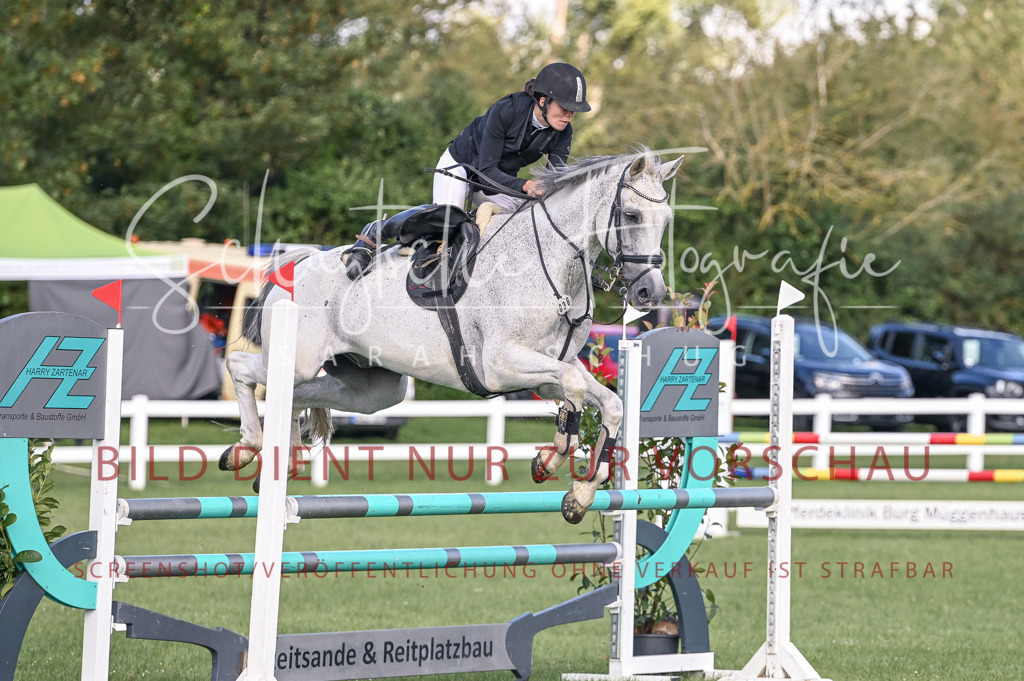 Schugtsche-Düren.2024-07.Amat.Springprf.A__-33 | Schugtsche Fotografie - Realisiert mit Pictrs.com