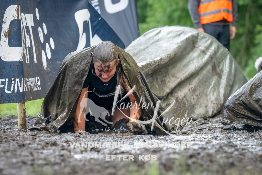 1151_ZZ94553-Bearbeitet | kk-dogfotos