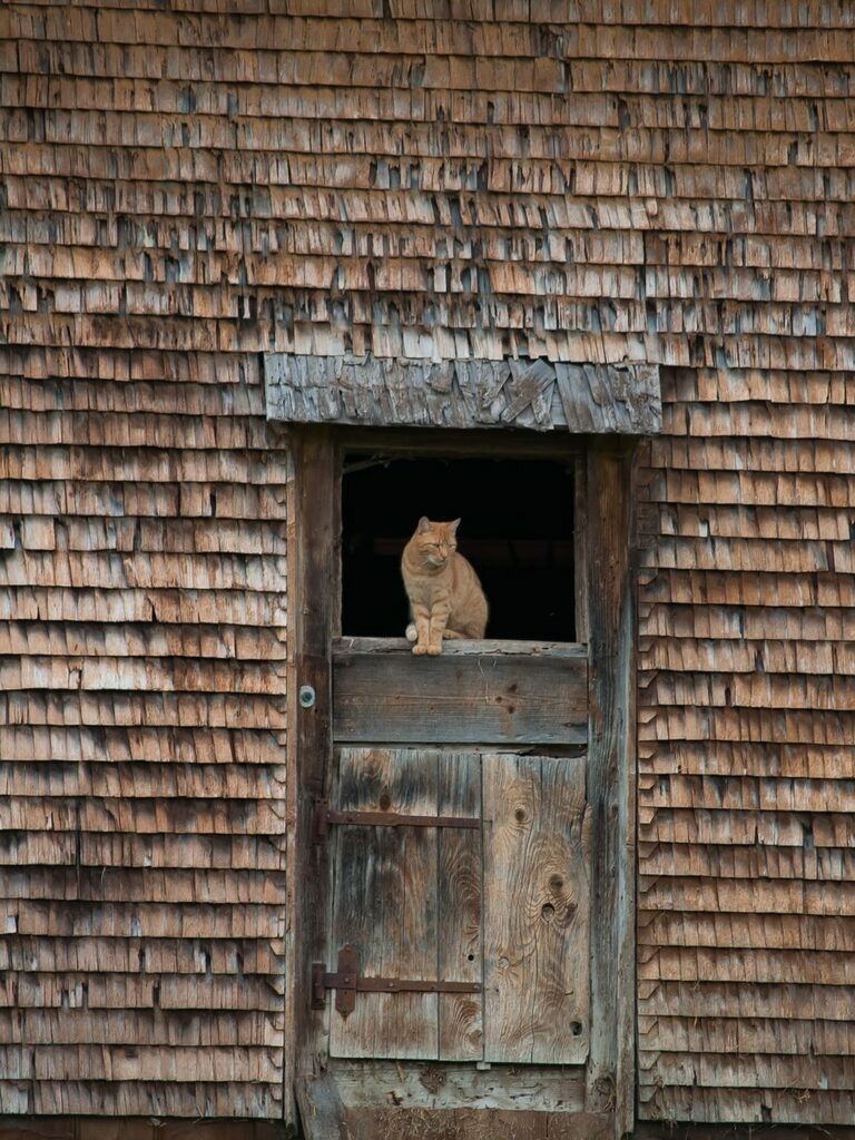 PSX_20221030_224445 | mtkfoto_ - Realisiert mit Pictrs.com