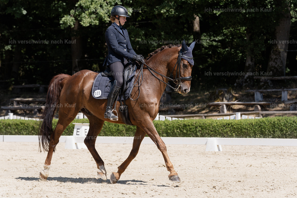 WS_DR_5_sinafilmart_IN09544 | working equitationturnier fotograf videograf stoibphotography marixx film working equitation deutschland reitsport turnierfotografie eventfotografie equestrian events
