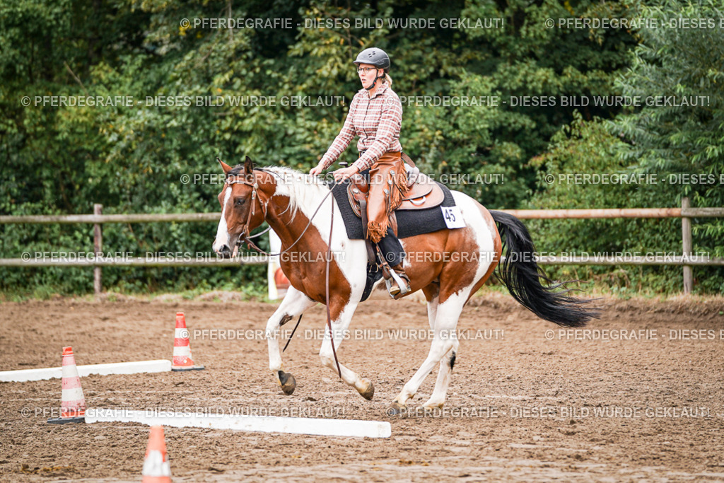 DSC04090 | Pferdegrafie