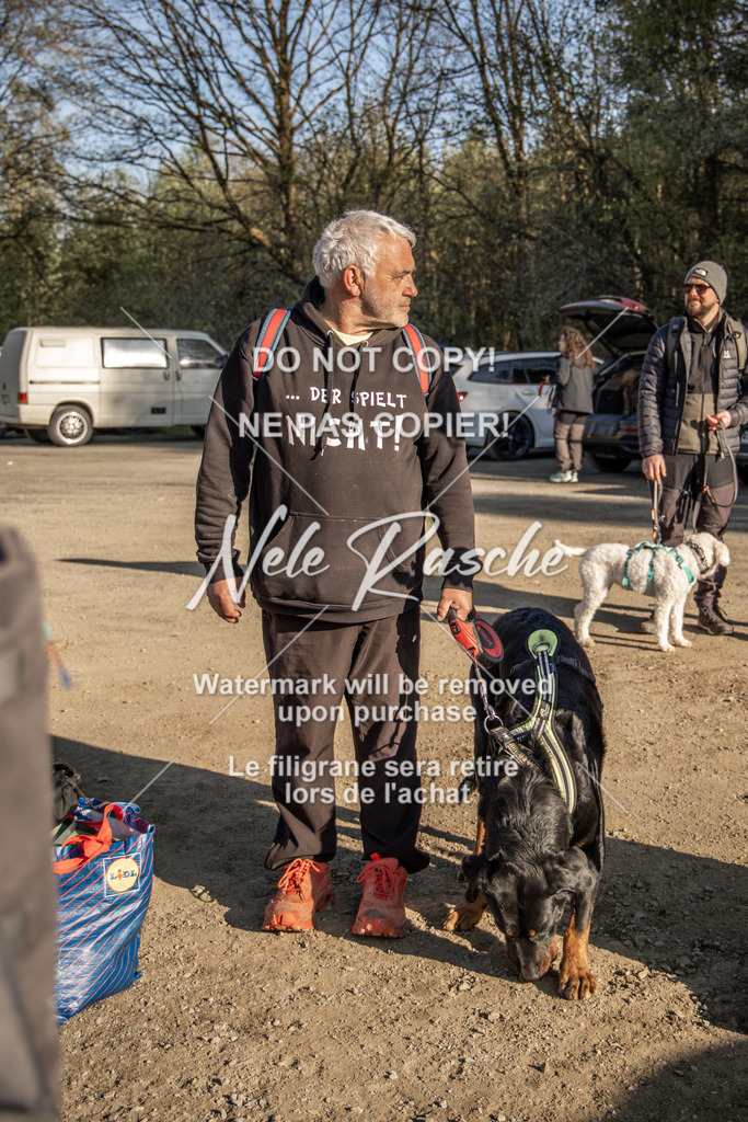 NR__0605-2 | nelerasche