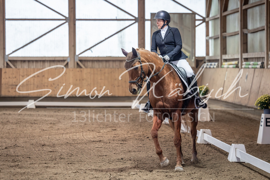 20251011-_3LI9559 | Tierfotografie Pferde, Hunde, Katzen, Haustiere.
Turnierfotografie Reitturniere, Reiten, Springreiten, Dressur in Hanau, dem Main-Kinzig-Kreis und dem Rhein-Main- Gebiet um Frankfurt