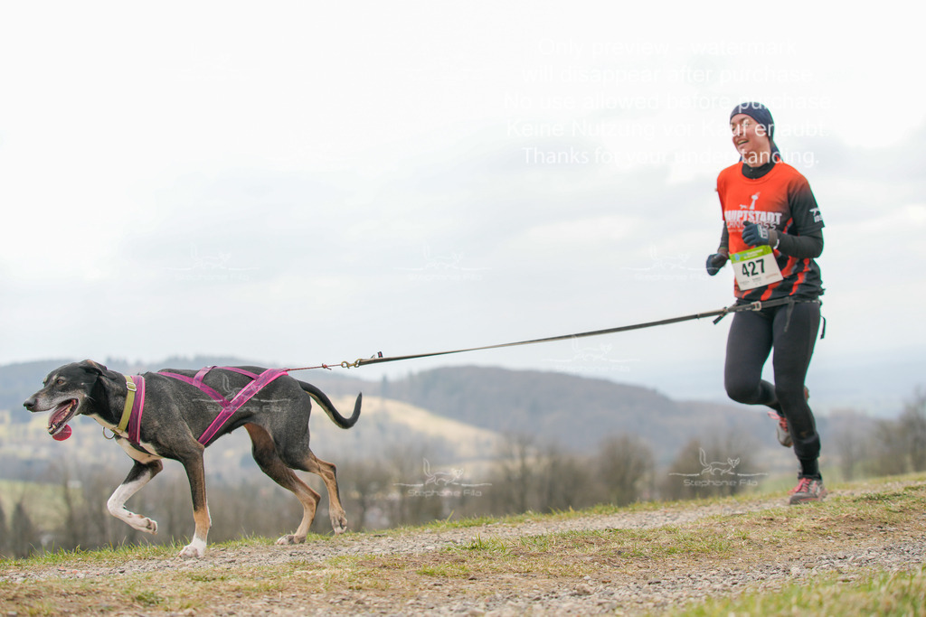 CaniXRunSA-172 | stephaniefillaphotographie - Realisiert mit Pictrs.com