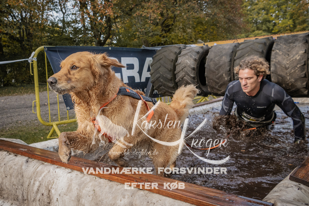 1437_ZZ94693 | kk-dogfotos