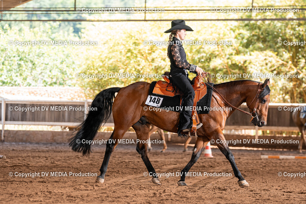 Erbach Tag 2-706 | dv-media-shop - Realisiert mit Pictrs.com