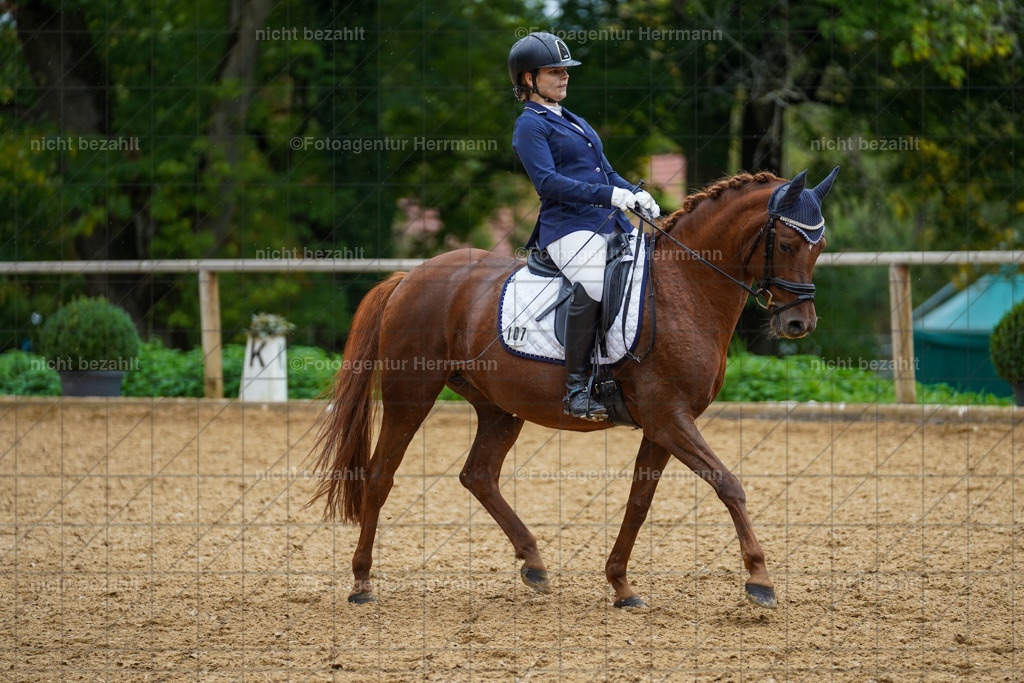 20221008-FAH01825 | Diessen am Ammersee, 2022, Dressur- und Springturnier, Reitsportbilder, Turnierfotografen Bayern, Pferdefotografen, Fotoagentur Herrmann, Turnierbilder