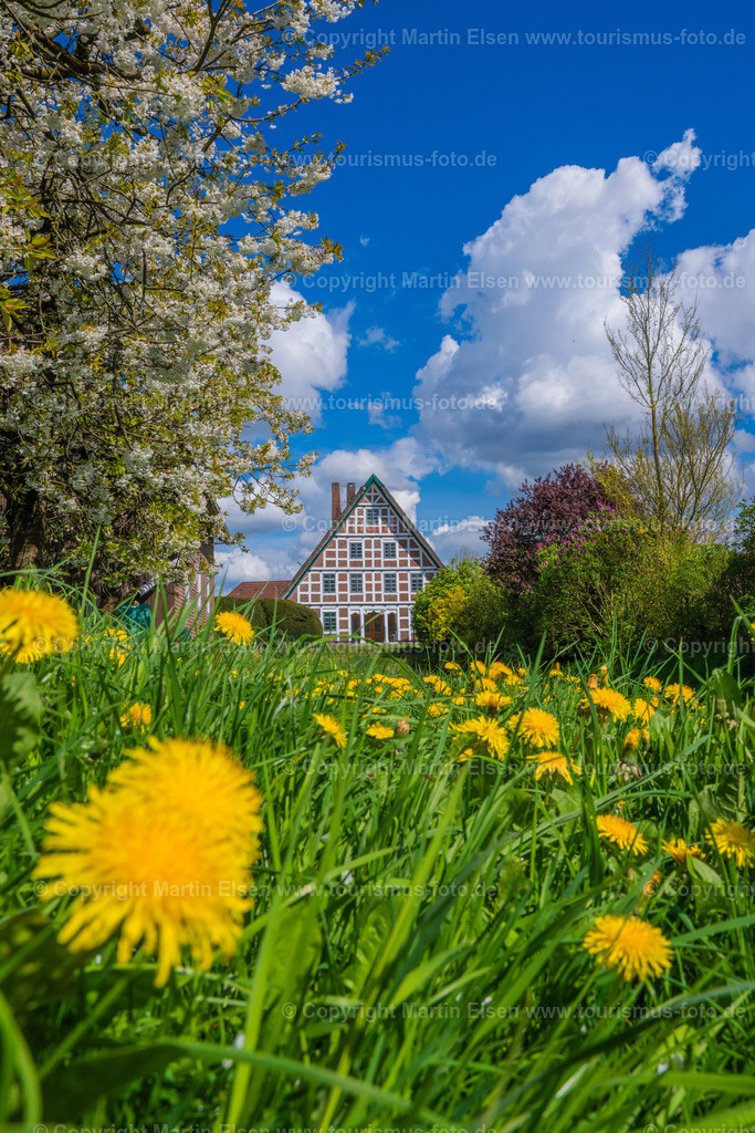 Jork Obst Blüte Fachwerk_ELS_2865170424 | Fotos aus den Touristenorten aus Norddeutschland. - Realisiert mit Pictrs.com