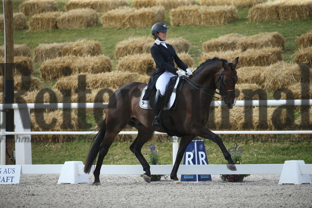 Birkhof_2022_GrandPrixSpecial_Nicole Isser_DiCaprio 4 (5) | Alle Fotos der Reiterjournal Fotografin Doris Matthaes im Reiterjournal Online-Fotoshop. - Realisiert mit Pictrs.com