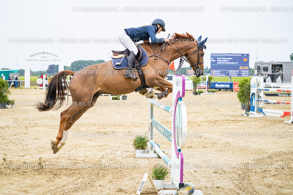 DSC07958 | Pferdegrafie