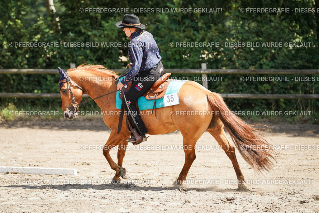 DSC06807 | Pferdegrafie