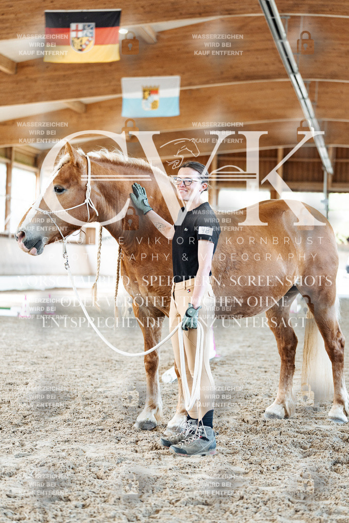 CK905967 | Turnierfotografie Pferdefotografie Trier Rheinland-Pfalz Pferdesport Reitsport Tierfotografie Sportfotografie Pferdevideo Pferdevideografie Equestrianvideography equestrianphotography  - Realisiert mit Pictrs.com