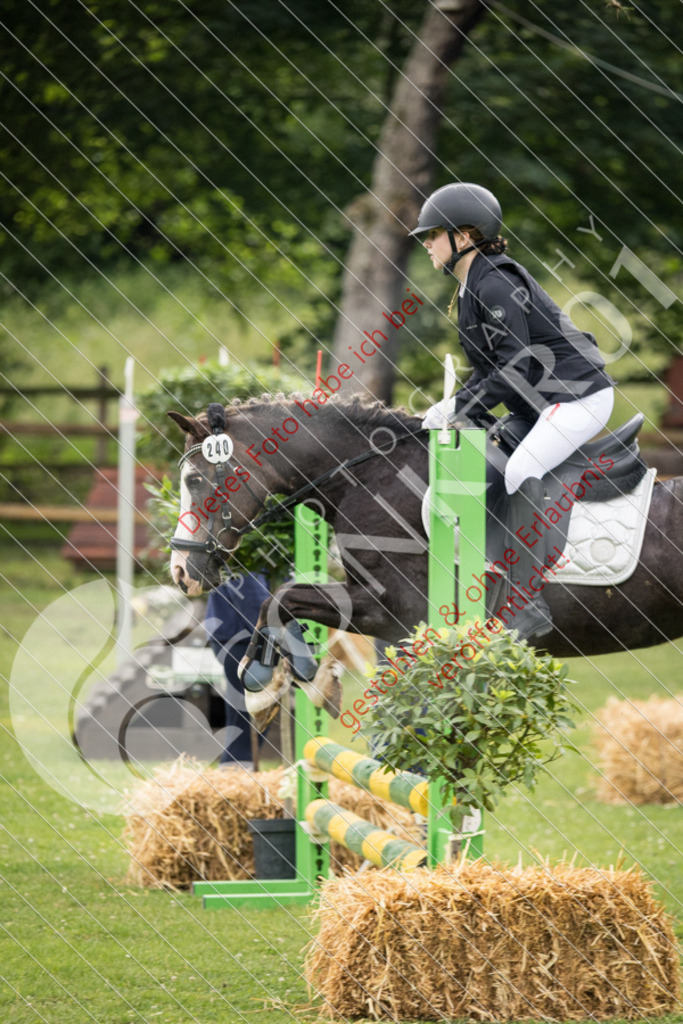 IMG_2715 | Sport-, Event- und Tierfotos in Profiqualität. Einfach auswählen, bestellen und herunterladen. Dein Moment – perfekt festgehalten.