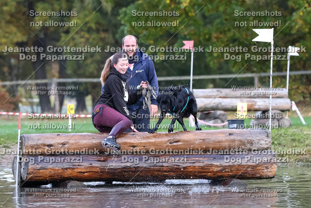 Dog Paparazzi - Strongdog 10-25-6550 | Dog Paparazzi Jeanette Grottendiek Fotografie & Videografie - Realisiert mit Pictrs.com