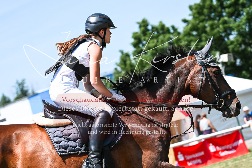 DSC_0237 | Pferde- und Turnierfotografie in Westsachsen. Pferdeportraits, Auftragszeichnungen und intuitive Kunst.