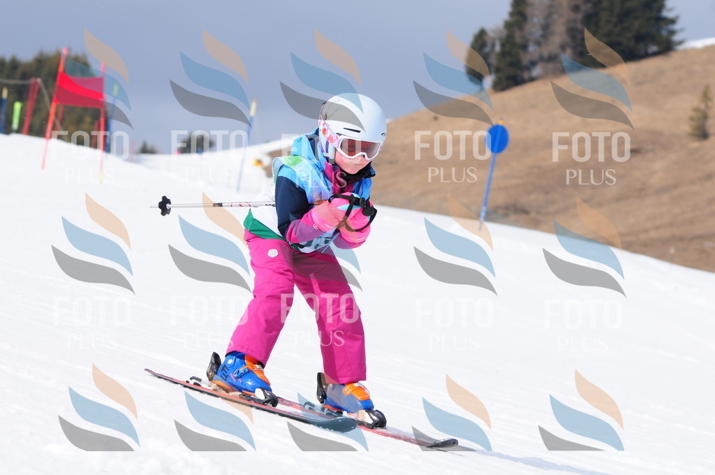 A3574 | holidayphoto