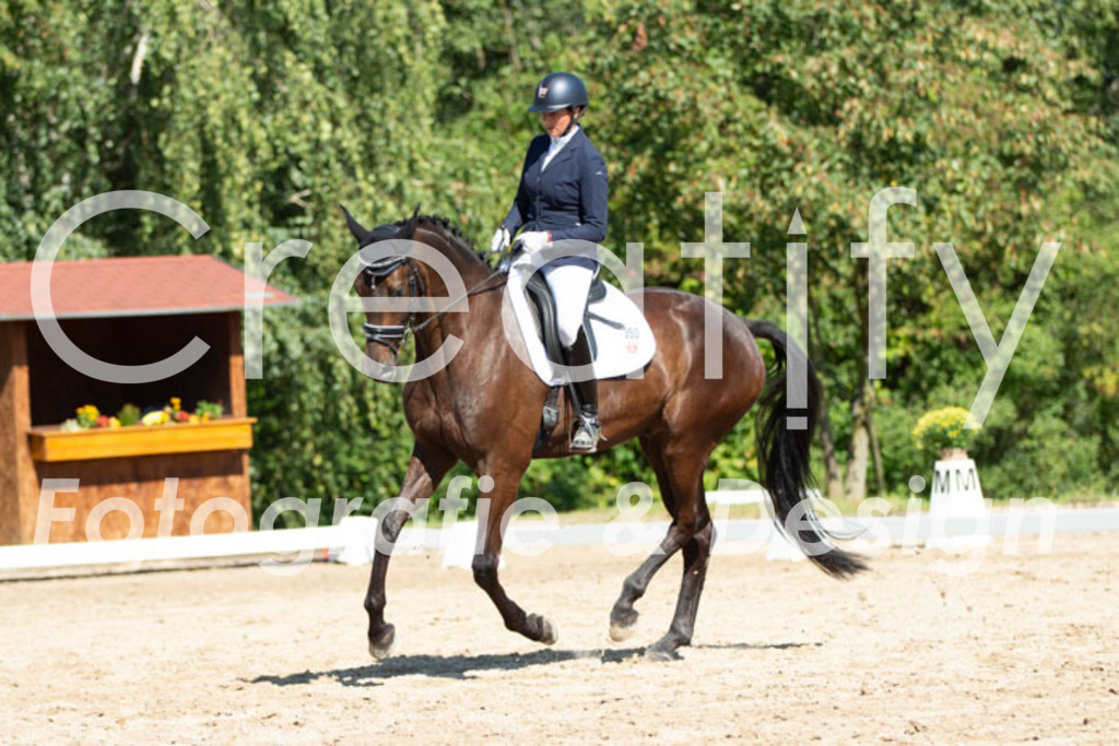 IMG_4368 | Creatify Fotografie