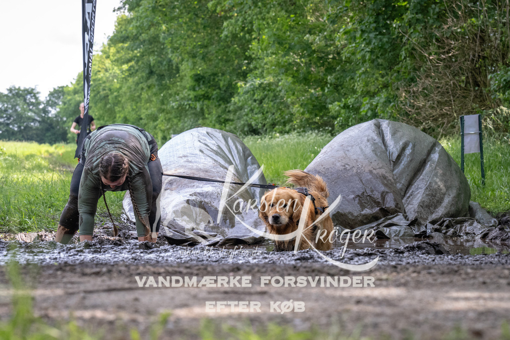 1242_ZZ93190 | kk-dogfotos