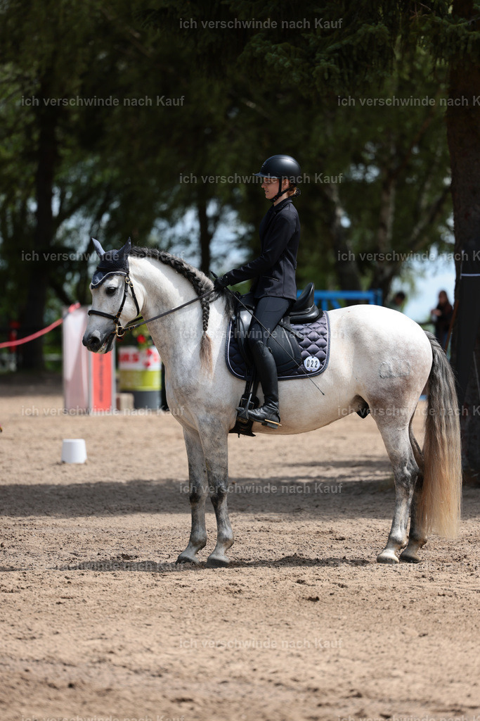 KlasseA_Stoibphotography_C2_L5732.JPG | working equitationturnier fotograf videograf stoibphotography marixx film working equitation deutschland reitsport turnierfotografie eventfotografie equestrian events