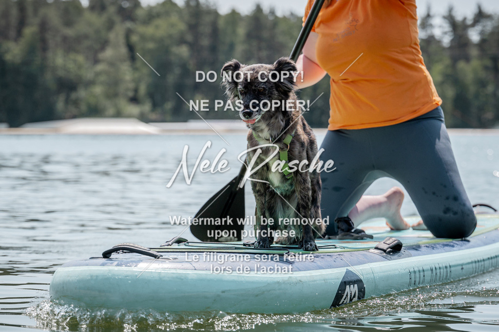 nelerasche_saSUP1_132 | nelerasche