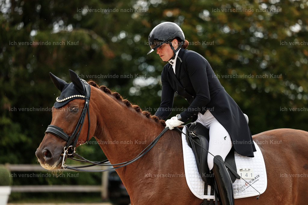 11-141-Dressur S___-Marixx-1861 | working equitationturnier fotograf videograf stoibphotography marixx film working equitation deutschland reitsport turnierfotografie eventfotografie equestrian events