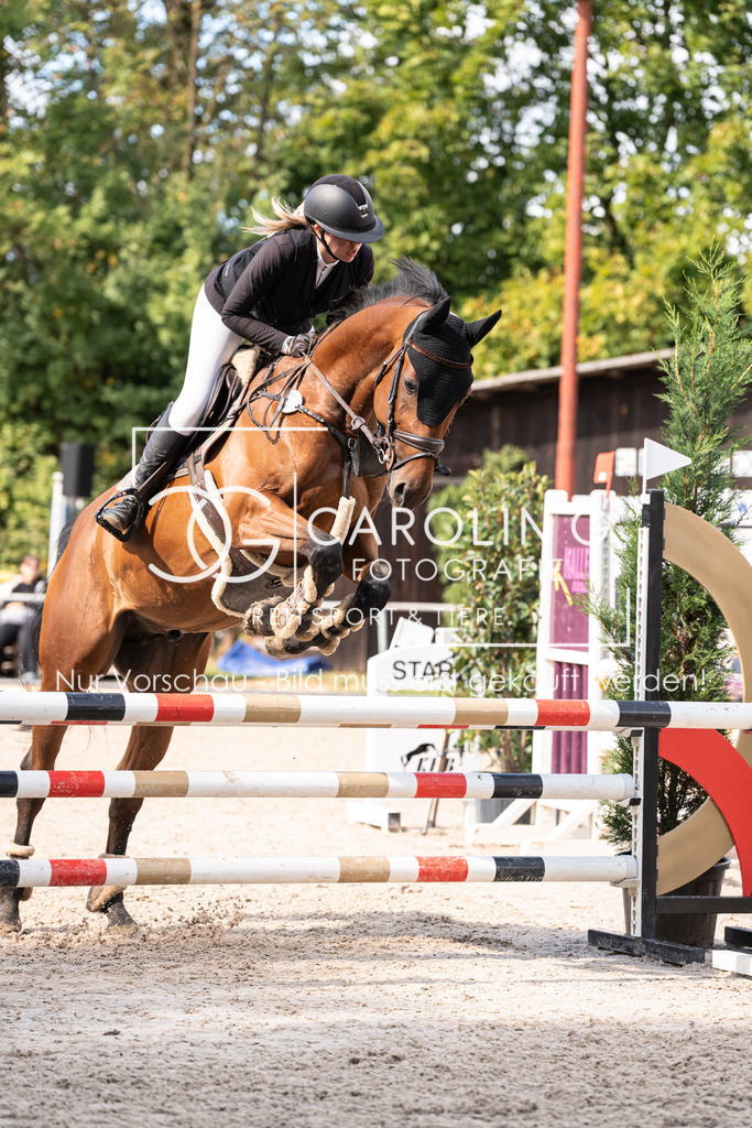 DSC03637 | Carolin Gieschke