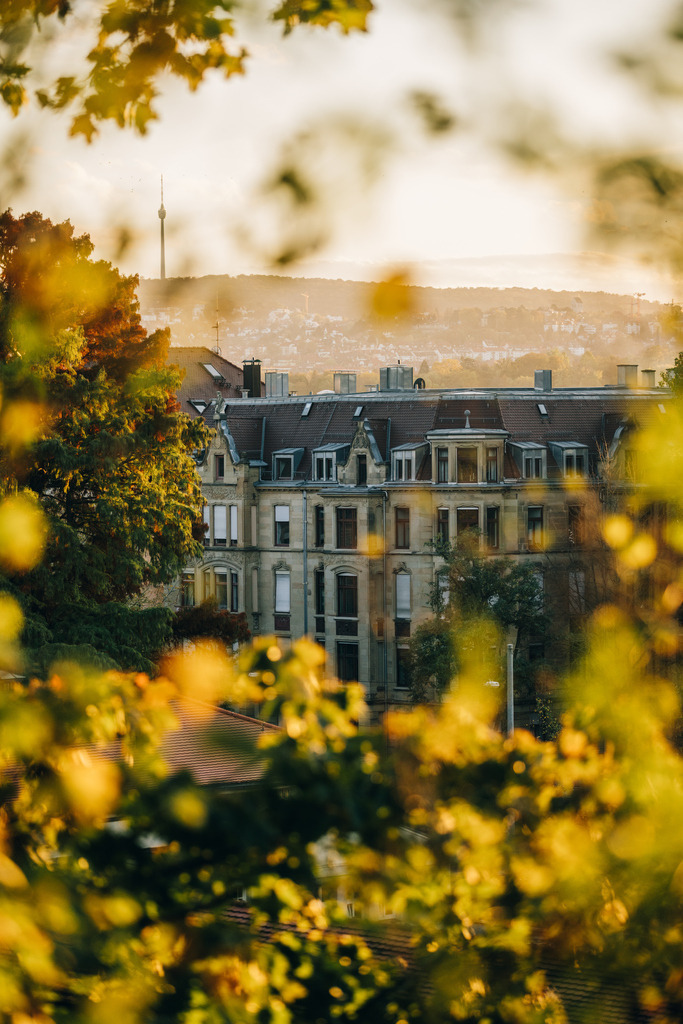 cannstatt | Online Shop von Cornelius Bierer - freiberuflicher Fotograf und Filmemacher aus Stuttgart - Realisiert mit Pictrs.com