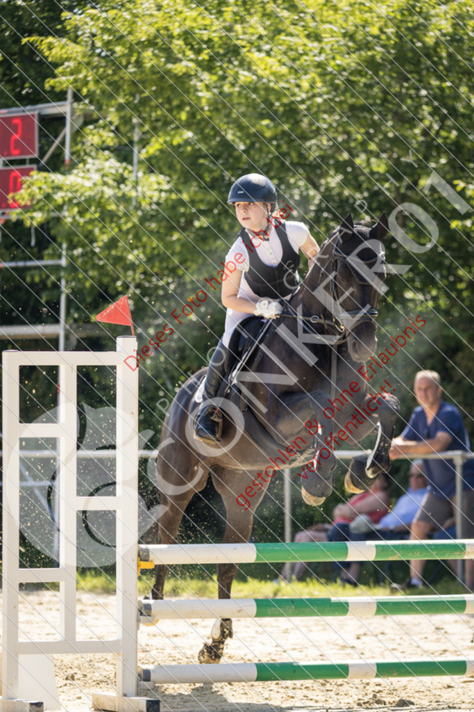 IMG_3407 | Sport-, Event- und Tierfotos in Profiqualität. Einfach auswählen, bestellen und herunterladen. Dein Moment – perfekt festgehalten.