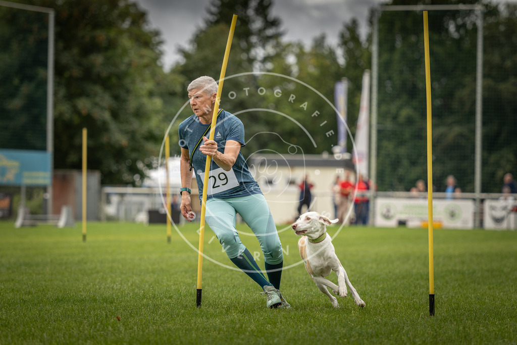Pfotenfotografie_DV3A8277 | Hundefotografie, Tierfotograf, Pfotenfotografie, Fotoshooting Hund, Hunde Portrait, Hundesport, Hundeportraits, Heideshooting, Hunde, Sportfotograf, Hundefotograf, Turnierhundsport, THS,  - Realisiert mit Pictrs.com