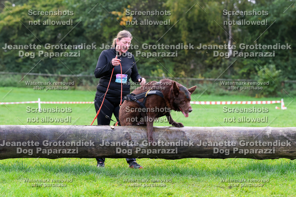 Dog Paparazzi -  SD1026-1014 | Dog Paparazzi Jeanette Grottendiek Fotografie & Videografie - Realisiert mit Pictrs.com