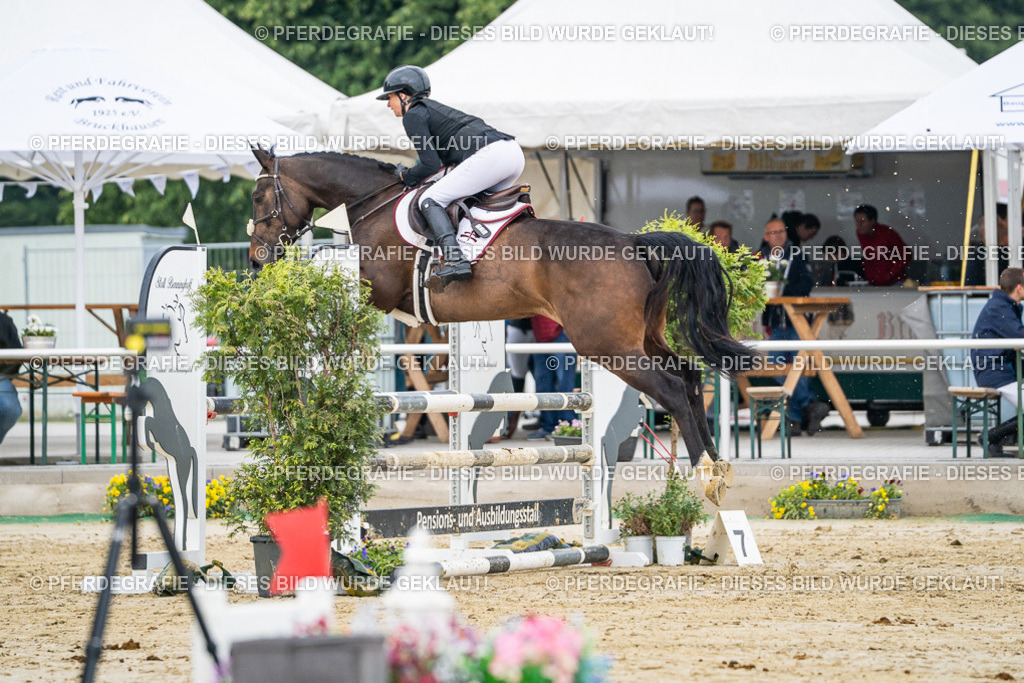 DSC00646 | Pferdegrafie