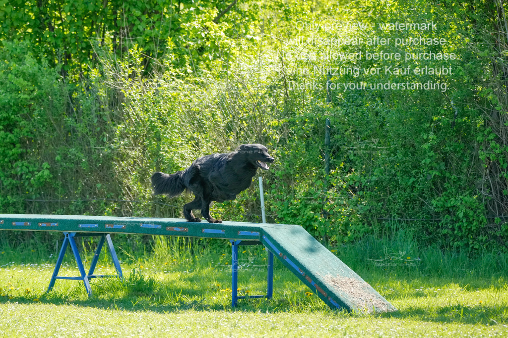 Sa_VK3_03-66 | stephaniefillaphotographie - Realisiert mit Pictrs.com