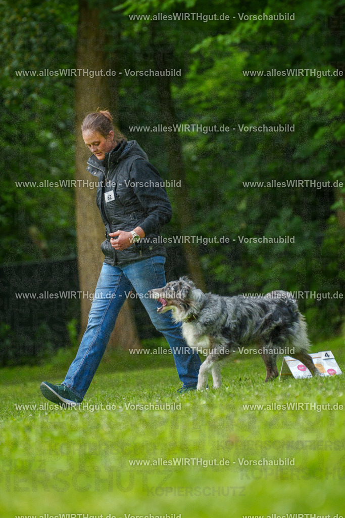 @allesWIRTHgut_Tierfotografie - www.allesWIRTHgut.de - 7R502034 | Professionelle Tierfotografie in Mönchengladbach von Daniel Wirth (allesWIRTHgut). Liebevolle & natürliche Bilder von Hunden & Katzen für unvergessliche Erinnerungen.