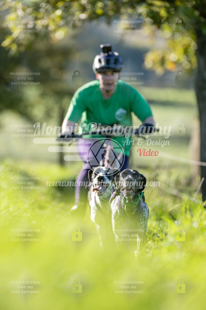 MompixPhotography_20TSB_E3_DS2-15 | PayLife