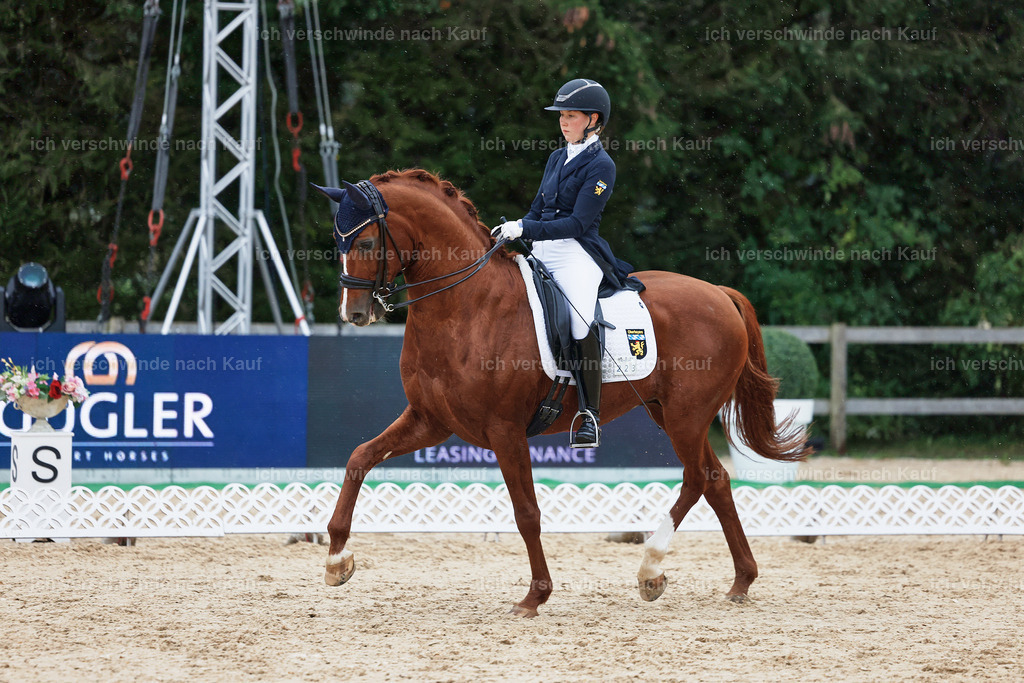 8_1-223-Klasse S_  -StoibPH-3948 | working equitationturnier fotograf videograf stoibphotography marixx film working equitation deutschland reitsport turnierfotografie eventfotografie equestrian events