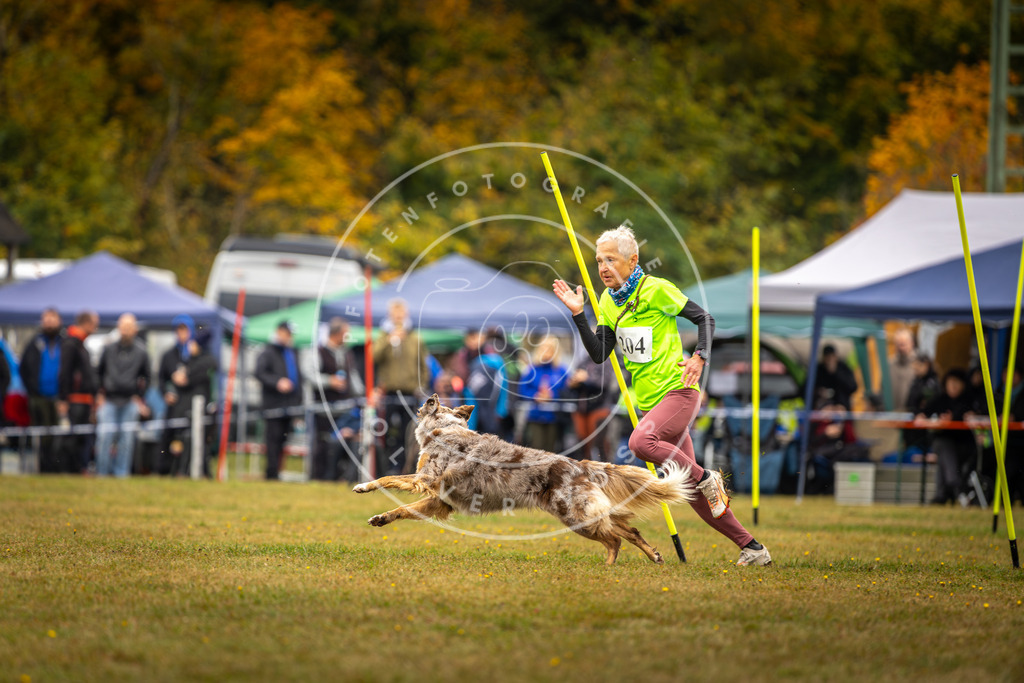 Pfotenfotografie_DV3A2053 | Hundefotografie, Tierfotograf, Pfotenfotografie, Fotoshooting Hund, Hunde Portrait, Hundesport, Hundeportraits, Heideshooting, Hunde, Sportfotograf, Hundefotograf, Turnierhundsport, THS,  - Realisiert mit Pictrs.com