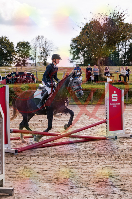 2026_10_03_Siefer-Hof_144848_Z81_26394716 | Professionelle Reitsport-, Turnier- und Eventfotografie von Robert Broda. Galerien mit ausgewählten und bearbeiteten Bildern direkt online ansehen und bestellen.