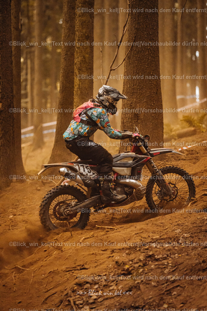 E68A5403 | blick_win_kel