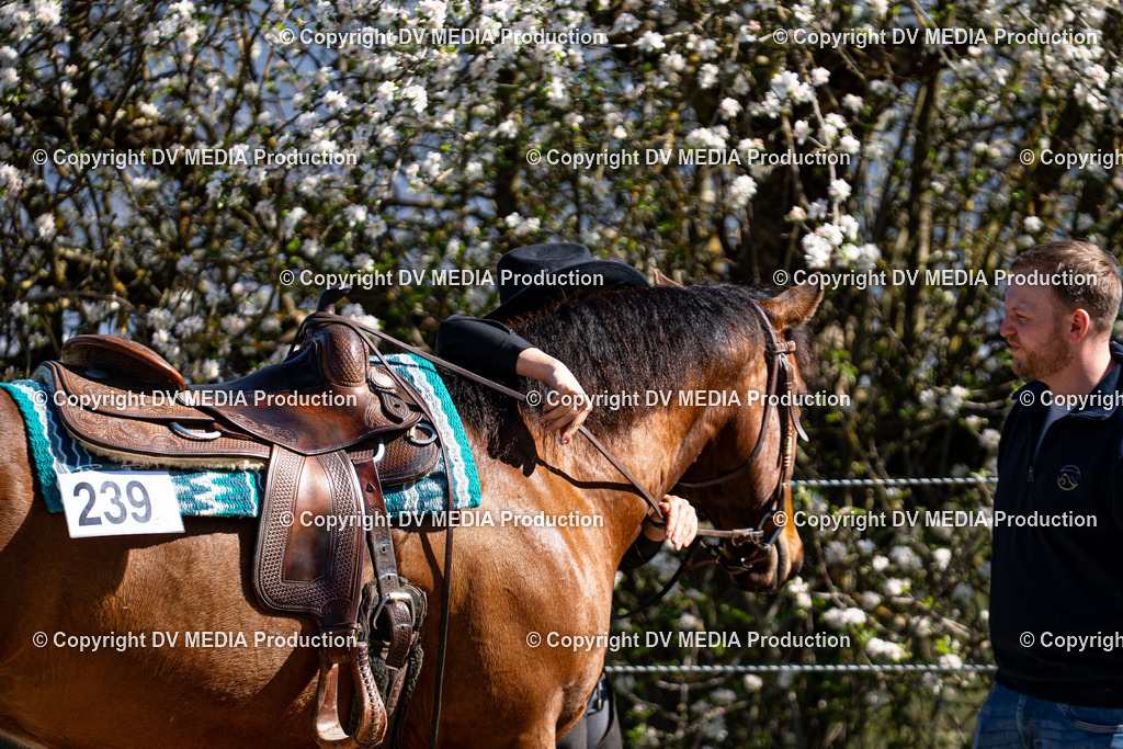 Balingen Tag 1-960 | dv-media-shop - Realisiert mit Pictrs.com