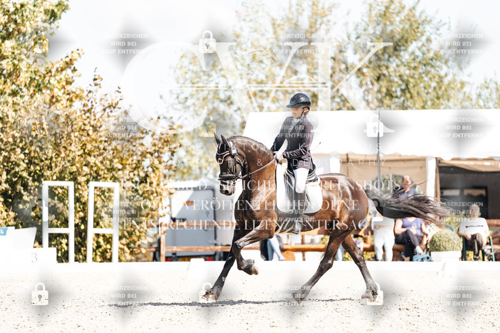 CK904073 | Turnierfotografie Pferdefotografie Trier Rheinland-Pfalz Pferdesport Reitsport Tierfotografie Sportfotografie Pferdevideo Pferdevideografie Equestrianvideography equestrianphotography  - Realisiert mit Pictrs.com