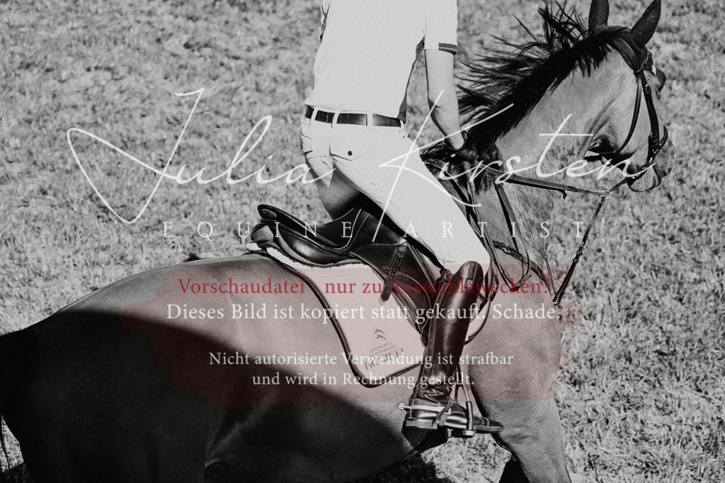 DSC_1935 | Pferde- und Turnierfotografie in Westsachsen. Pferdeportraits, Auftragszeichnungen und intuitive Kunst.