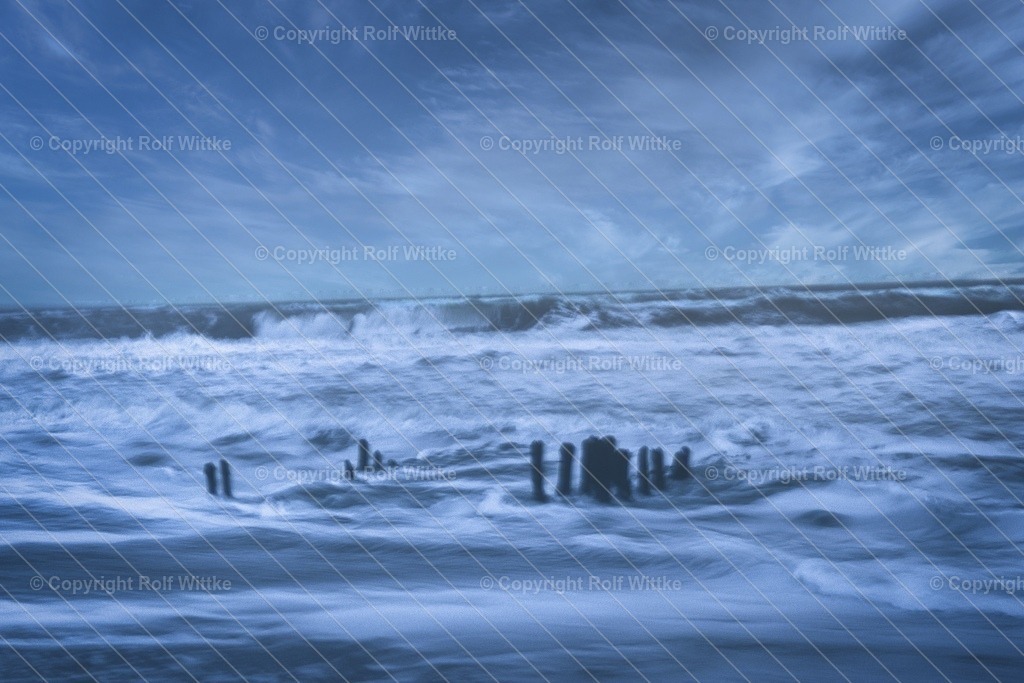 1D3A1292_1.1 | Rolf Wittke  - Realisiert mit Pictrs.com