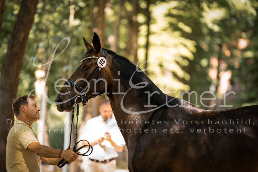 FrPfM00224 | Leoni Ertmer Photography - Realisiert mit Pictrs.com