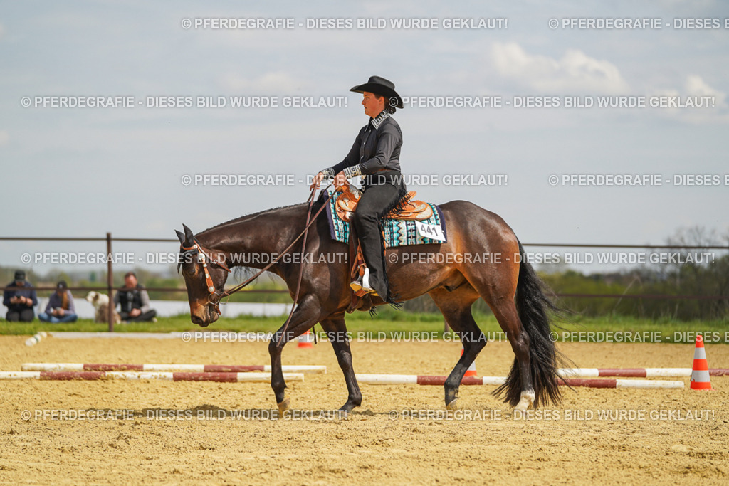 DSC05322 | Pferdegrafie