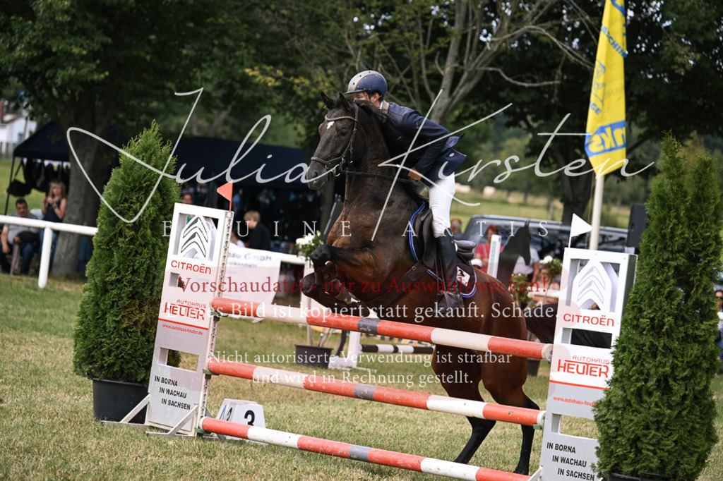 DSC_0630 | Pferde- und Turnierfotografie in Westsachsen. Pferdeportraits, Auftragszeichnungen und intuitive Kunst.