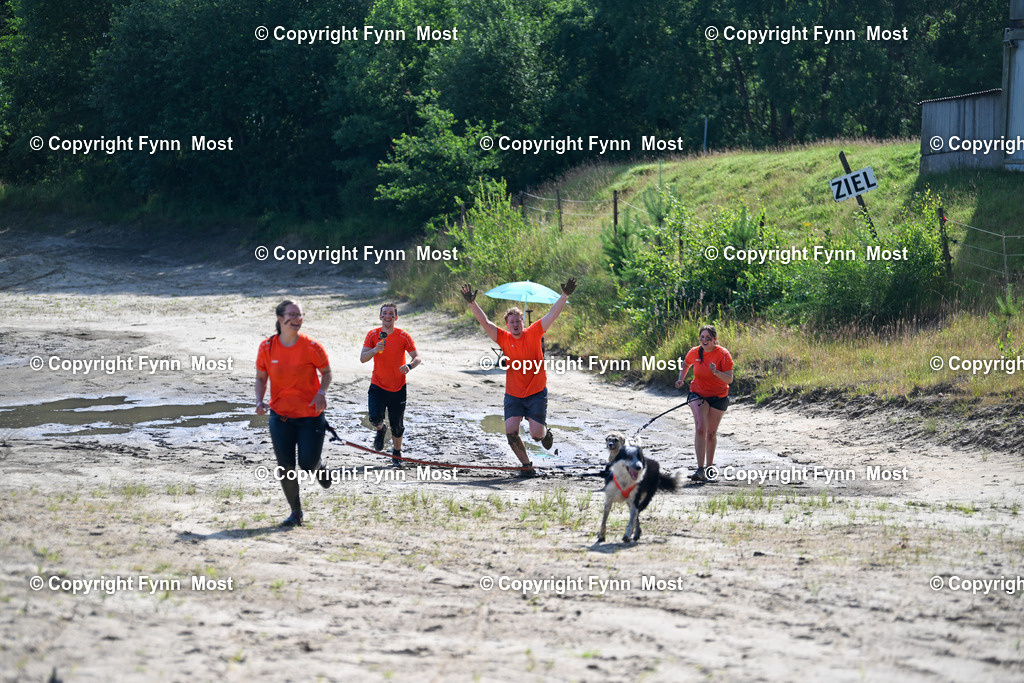 DSC_4320 | Hallo und herzlich Willkommen auf meiner Shop-Seite Fynn Most.

Ich wünsche Dir viel Spaß beim stöbern durch die Bilder, wenn Du Fragen hast oder Bilder vermisst, kannst du mir gerne eine Nachricht schreiben. - Realisiert mit Pictrs.com
