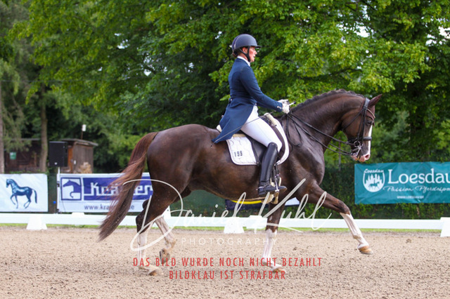 DKP41327 | Turniersportfotografie; Pferdefotografie; Dressurfotografie