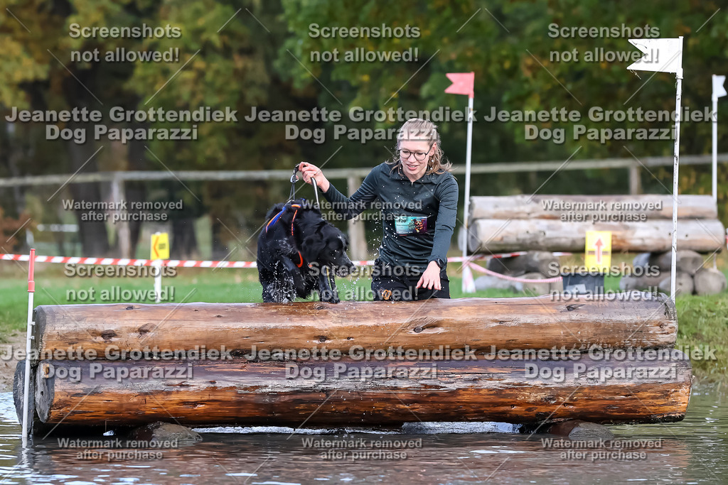 Dog Paparazzi - Strongdog 10-25-6921 | Dog Paparazzi Jeanette Grottendiek Fotografie & Videografie - Realisiert mit Pictrs.com